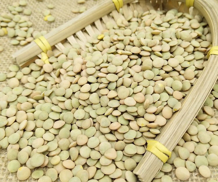 小扁豆甘肃特产农家高原扁豆子山地小扁豆兵豆五谷杂粮红小扁豆5斤