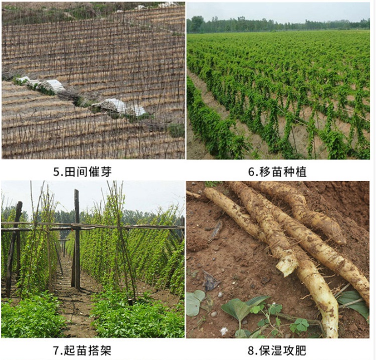 淮山浅生槽种山药种植引导槽淮山槽生浅塑料槽u型槽的塑料管模具 0.