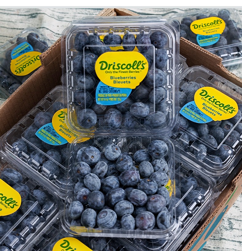 静乐鲜秘鲁怡颗莓蓝莓6盒装大果孕妇新鲜蓝莓水果发顺丰空运