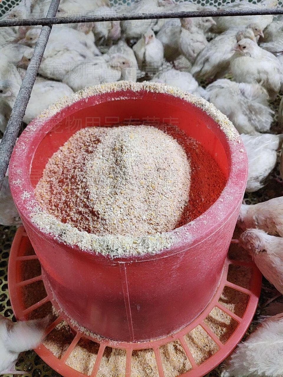 鹌鹑饲料小鹌鹑饲料开口料育雏饲料鸡鸭鹅鸟饲料 小鹌鹑饲料6斤【图片