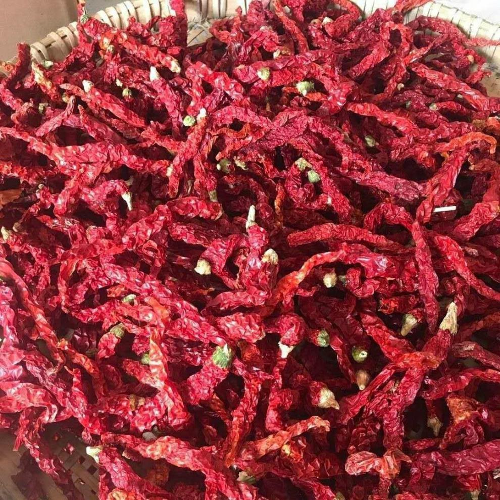 带把二荆条干辣椒微辣250g贵州特产辣椒辣椒不辣超香二荆条辣椒 3斤装