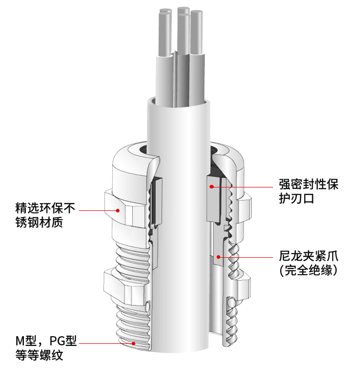 61bac7498d04e76f.png