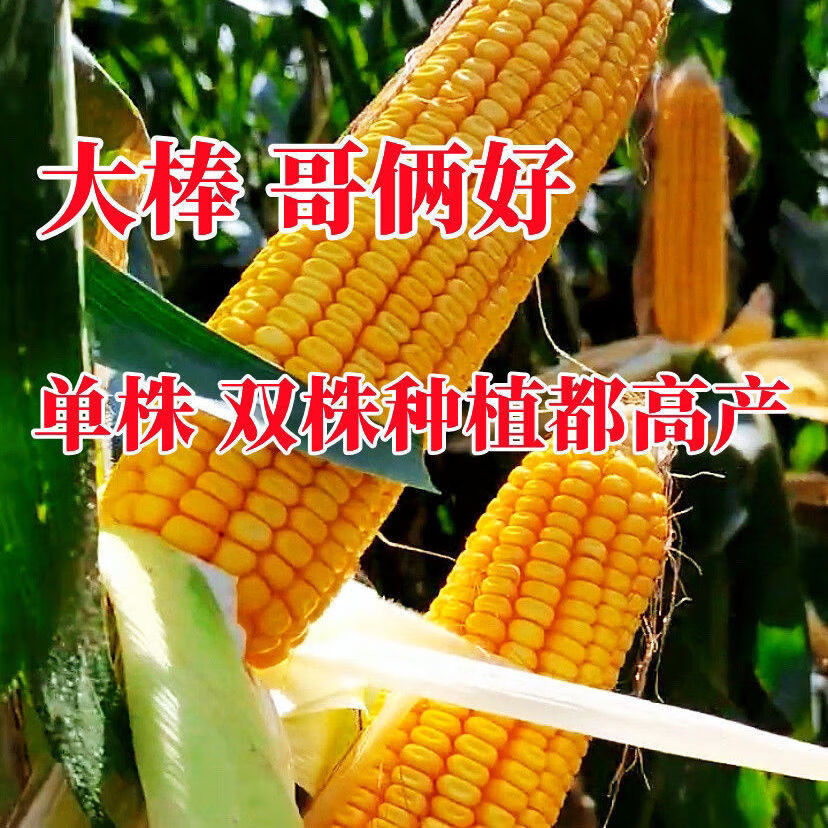 a433a6b6dc14f8fc.jpg