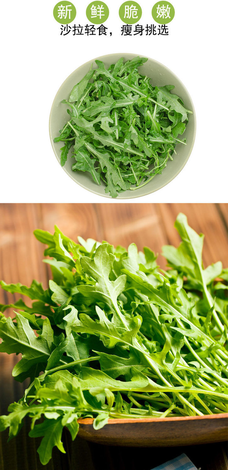 新鲜芝麻菜半斤 现摘精选 火箭菜 蔬菜沙拉 西餐生菜 野芝麻菜 3斤装