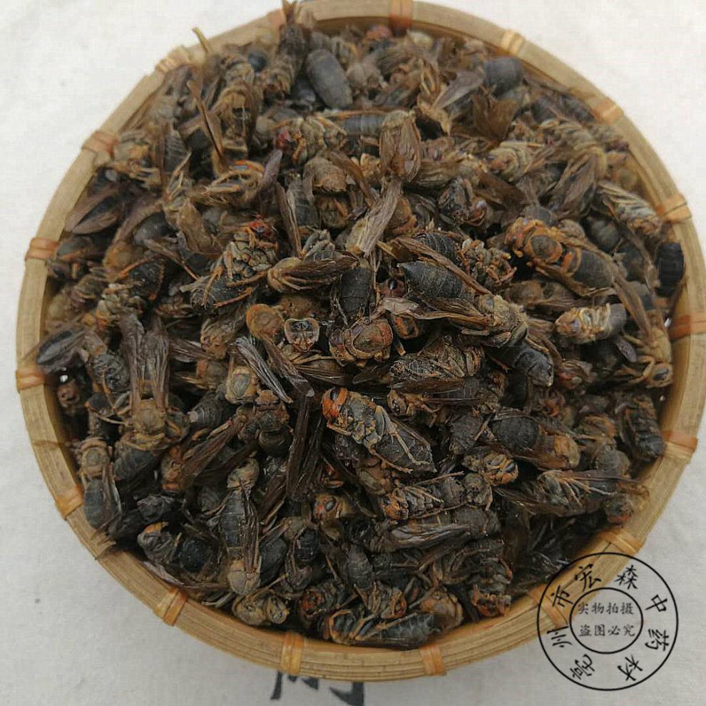 中药材马蜂干100克泡酒大黄蜂马蜂葫芦蜂新货另有蝗虫干 500克【图片
