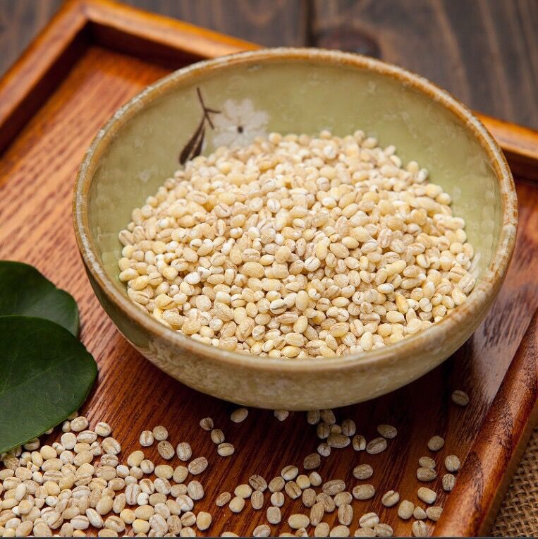 正丰粮果 白桦荷兰小薏米 薏米仁薏仁米洋薏米真空包装现货 200g试吃