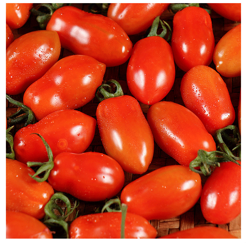 玫栀 东北丹东409小圣女果新鲜水果铁皮花生小番茄孕妇5斤 2斤【图片