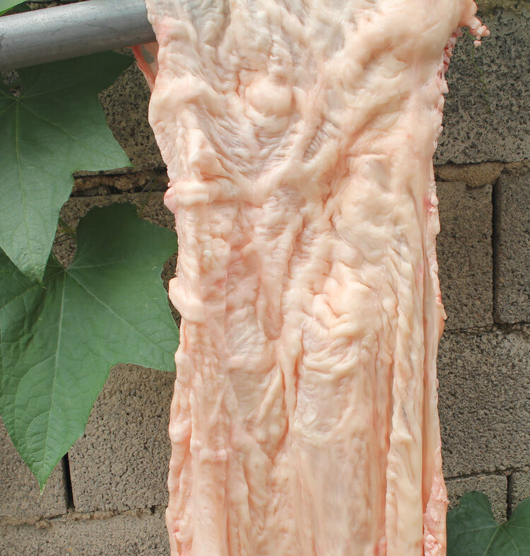 十里馋 牛板油 生牛油 牛板油当天现杀黄牛网油