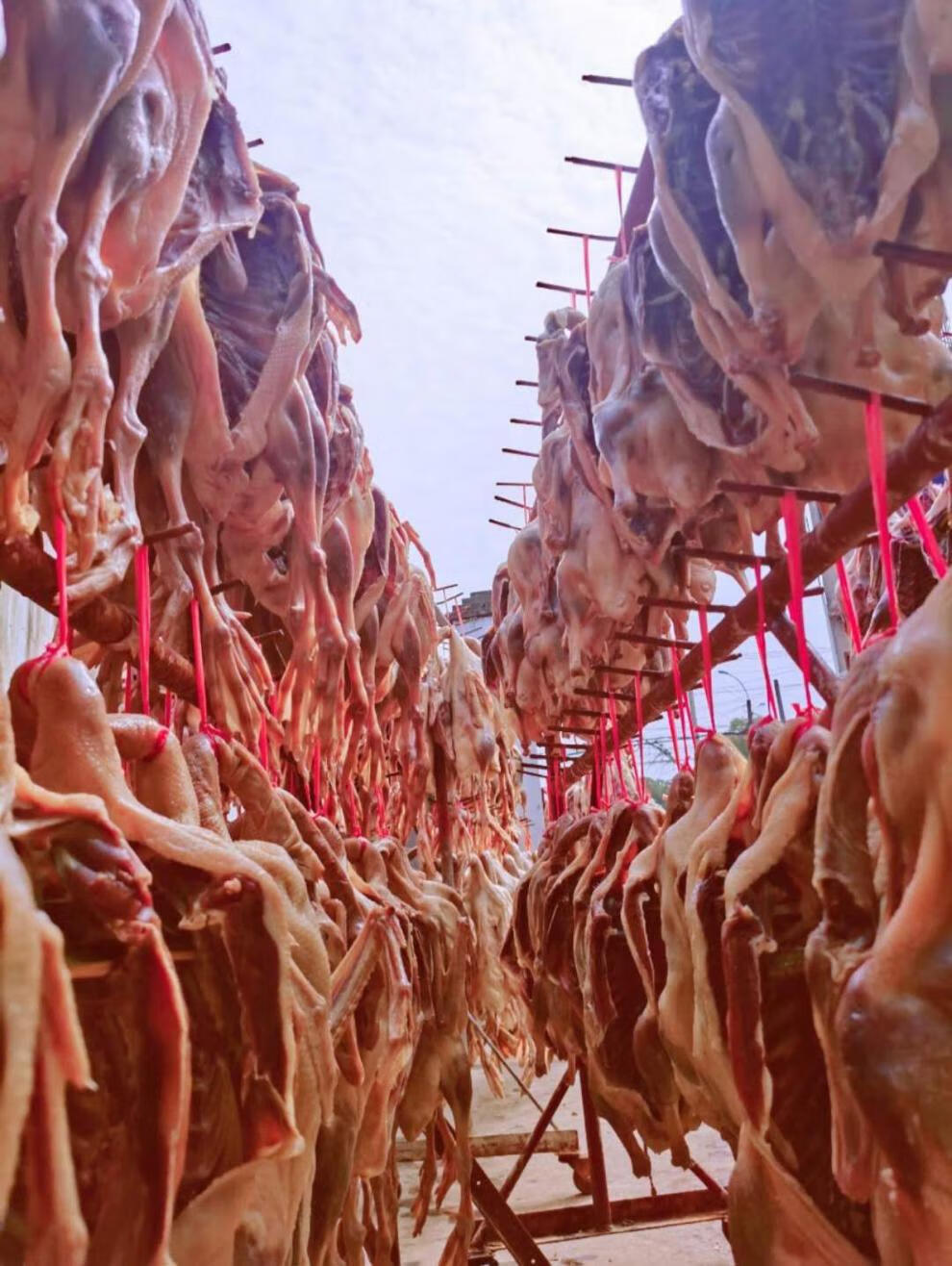 江苏溧阳咸鹅农家腊鹅风干鹅土特产年货鹅肉鸭肉鸡肉4斤大咸鸡