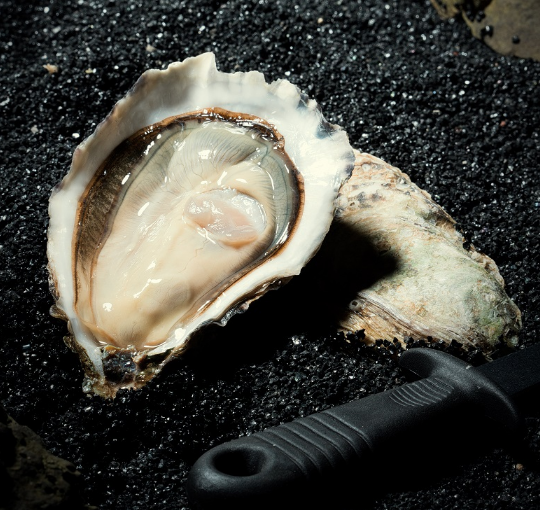 冰娜n1生蚝法国生蚝原箱进口xxl120g含140g不含套餐一