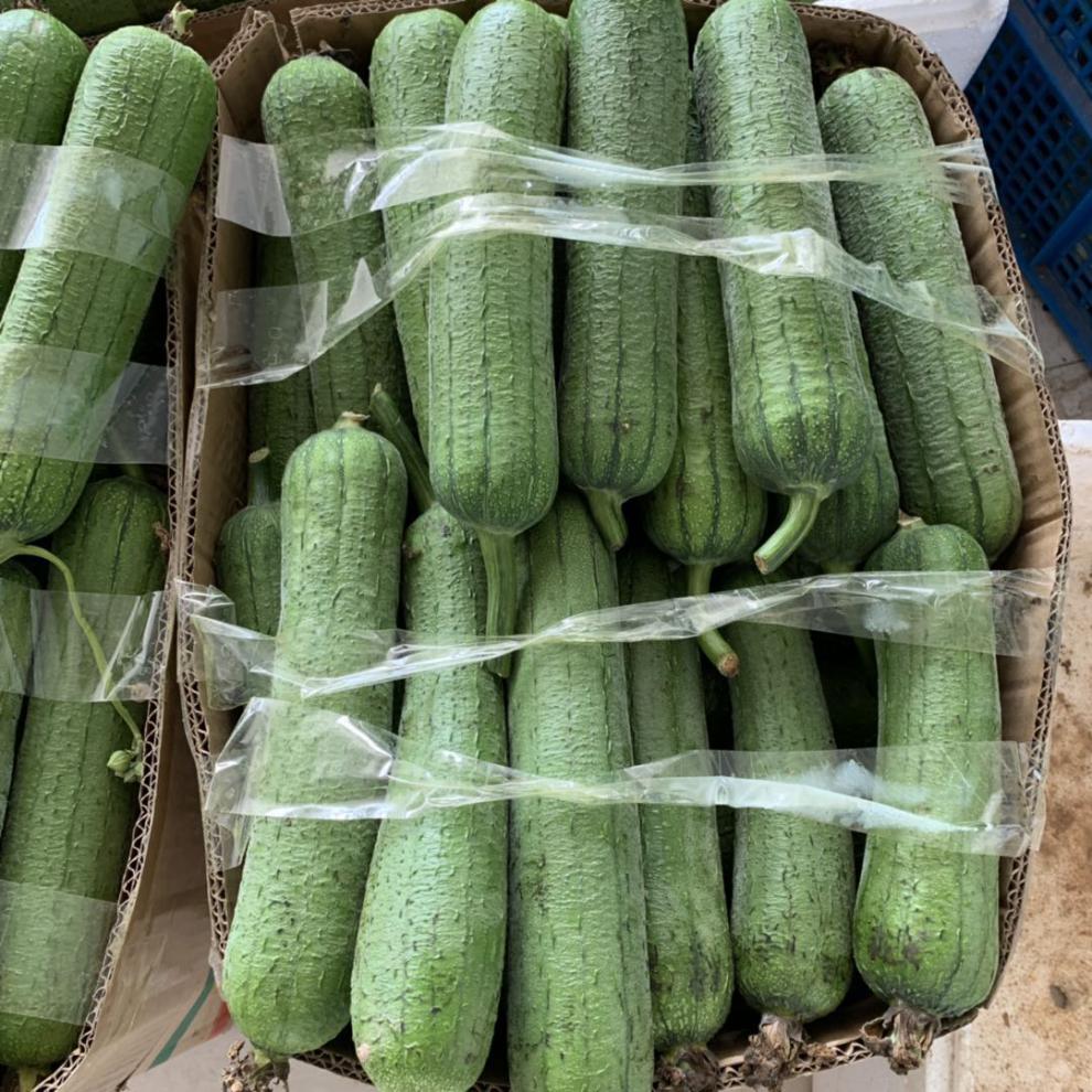 肉丝瓜新鲜蔬菜农家水瓜香丝瓜短棒 500g【图片 价格 品牌 报价】