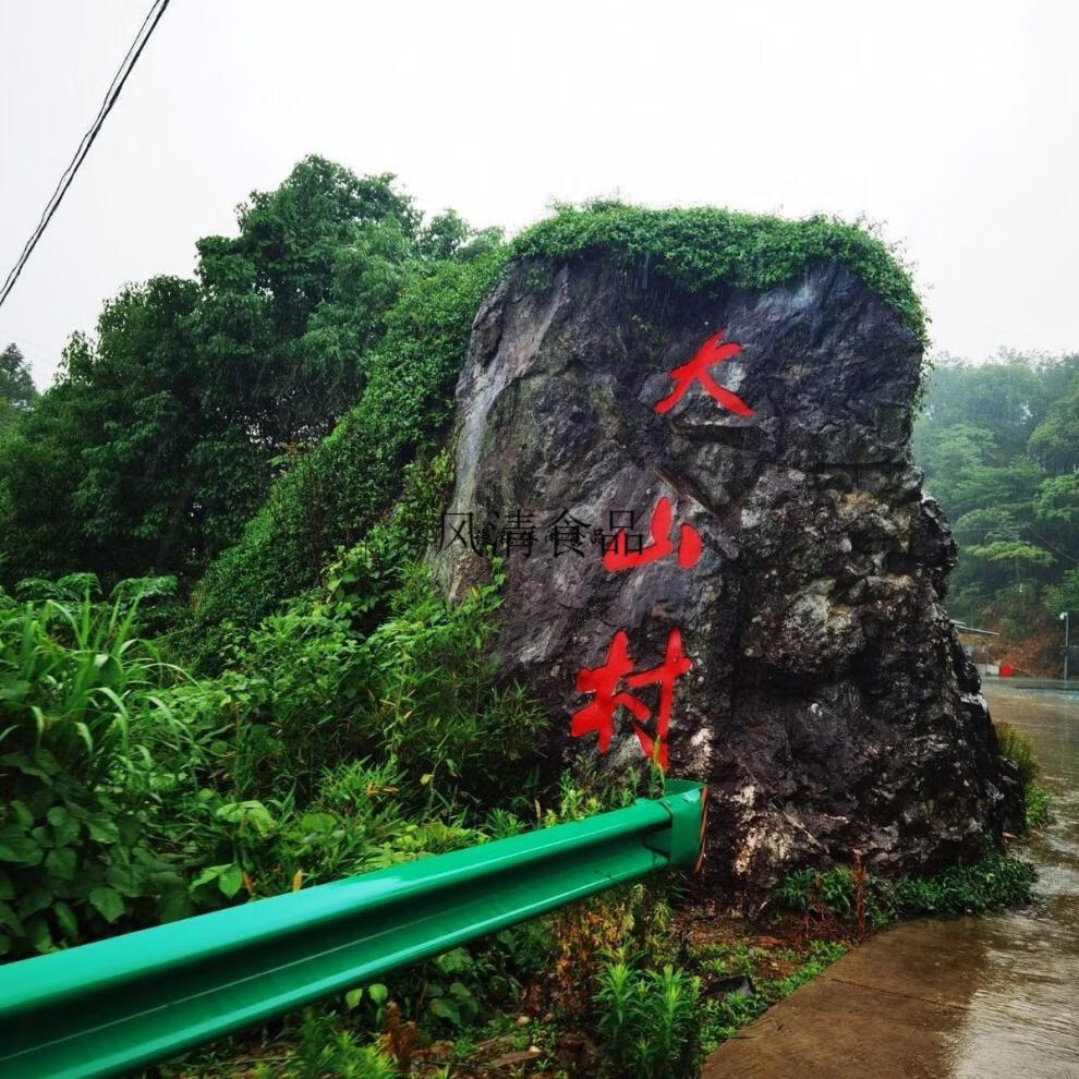 牧馬安達新茶安徽池州綠茶石臺硒茶牯牛降野茶仙寓山野茶大山村硒茶