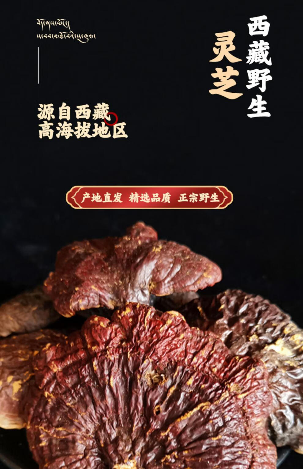 1bbbbee37a63fb6a.jpg