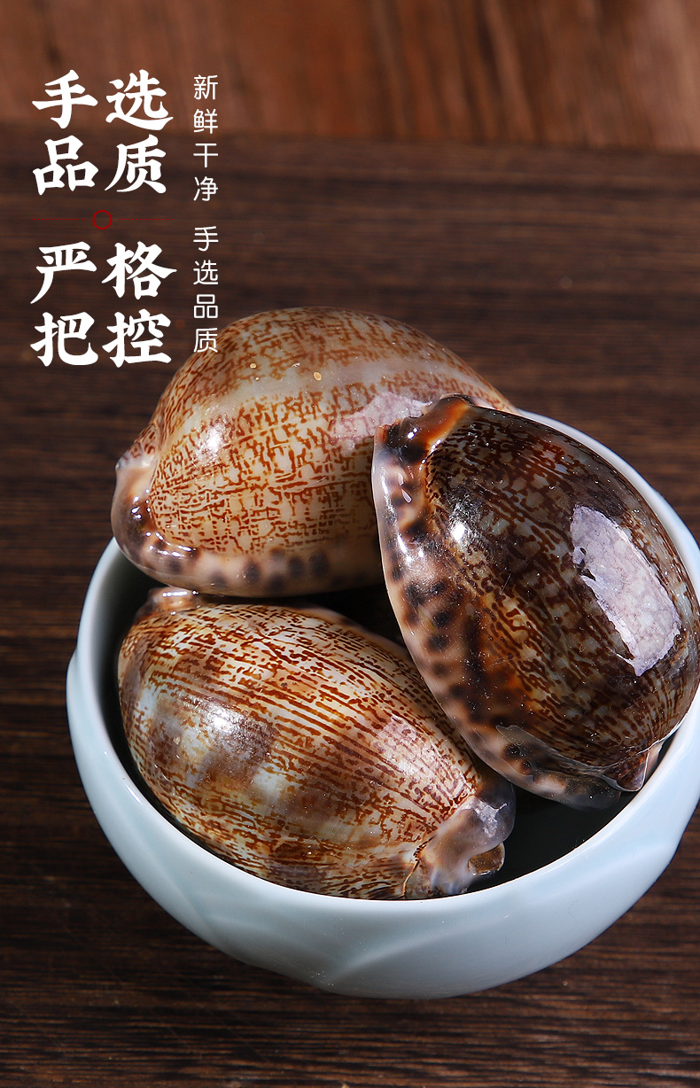 紫贝齿500克袋装紫贝文贝壳紫贝子可磨紫贝齿粉中药材店铺大全