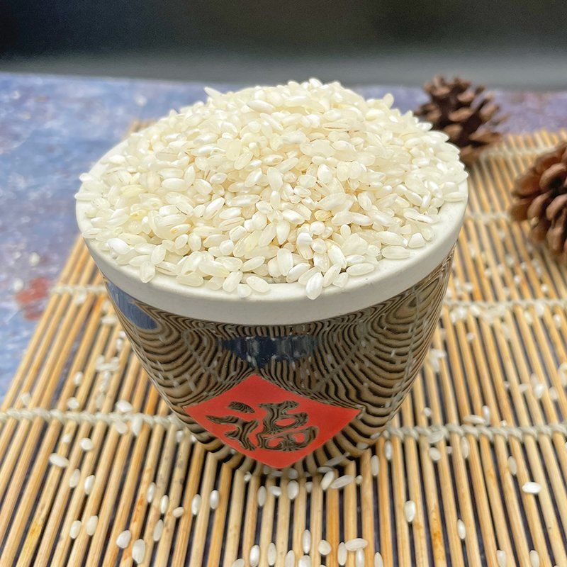 米阳春珍桂矮 888 河粉米 100斤原装 早米 陈米 春湾牌 石磨肠粉 大米