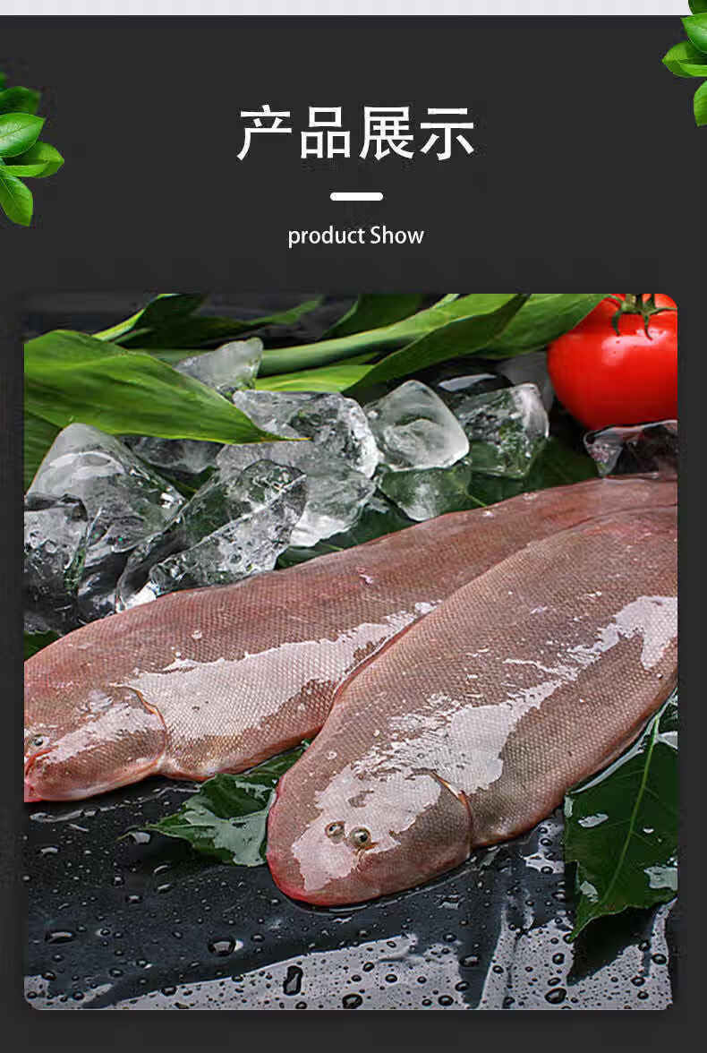 野生龙利鱼4斤超大海捕新鲜舌头鱼速冻带皮龙利鱼 4斤 龙利鱼(约半斤