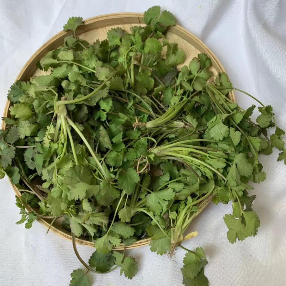 冠季香菜新鲜蔬菜4斤和河南芫荽农家矮脚土香菜霜冻香菜红根香菜500g