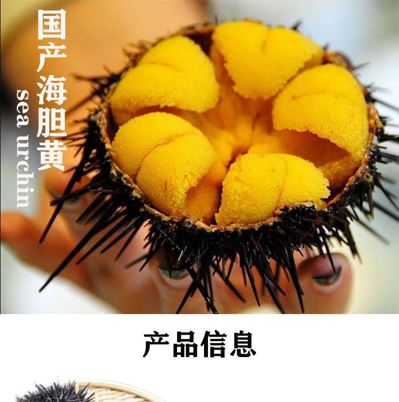 冷藏发货海胆熟黄马粪紫海胆现剥速冻非即食料理马胆冷冻盒装黎麦跃堡