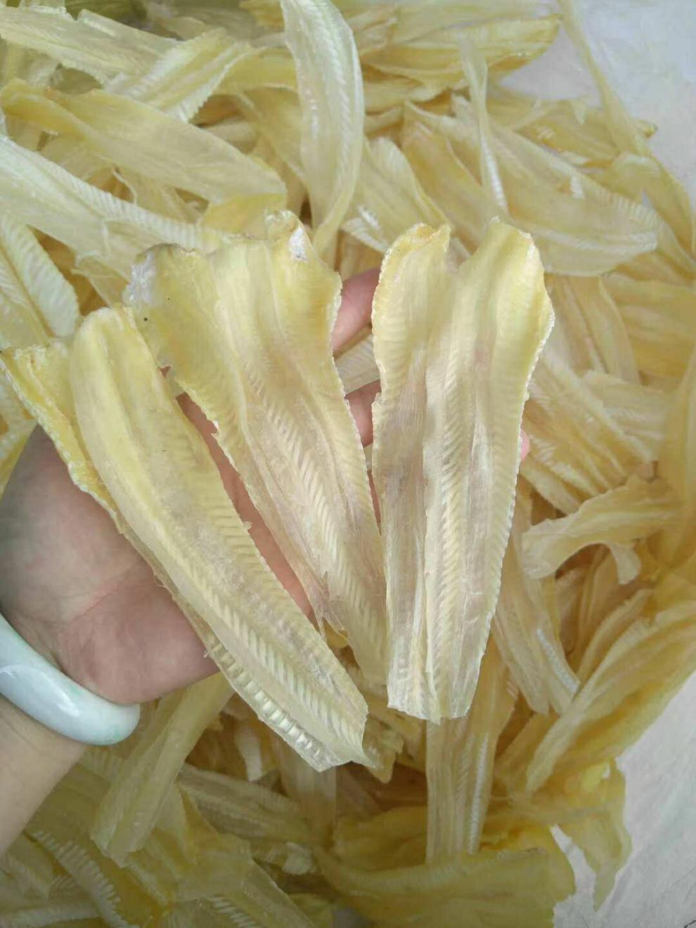 鱼唇广东湛江特产足干干货煲汤炖煮佛跳墙食材港式鱼唇50g25050克