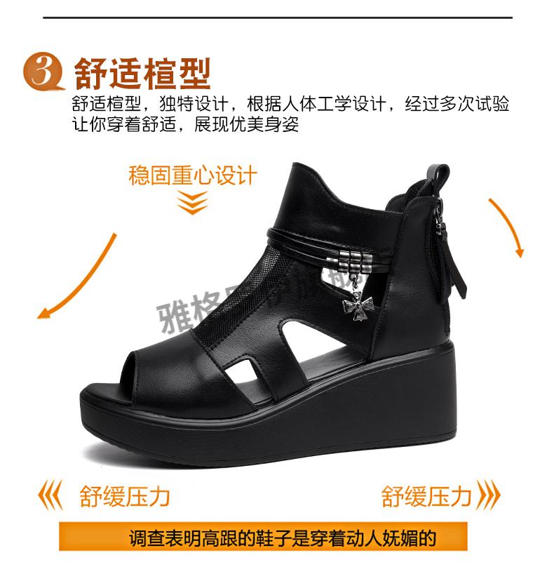 2377c32298cde736.jpg