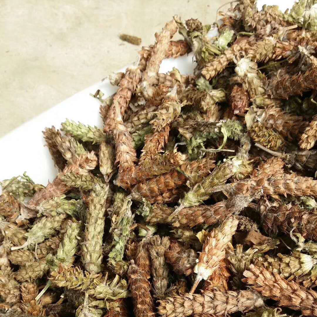 河南确山夏枯草中药材 250g500g1000g 牛低头 麦穗夏枯草 夏枯草500克