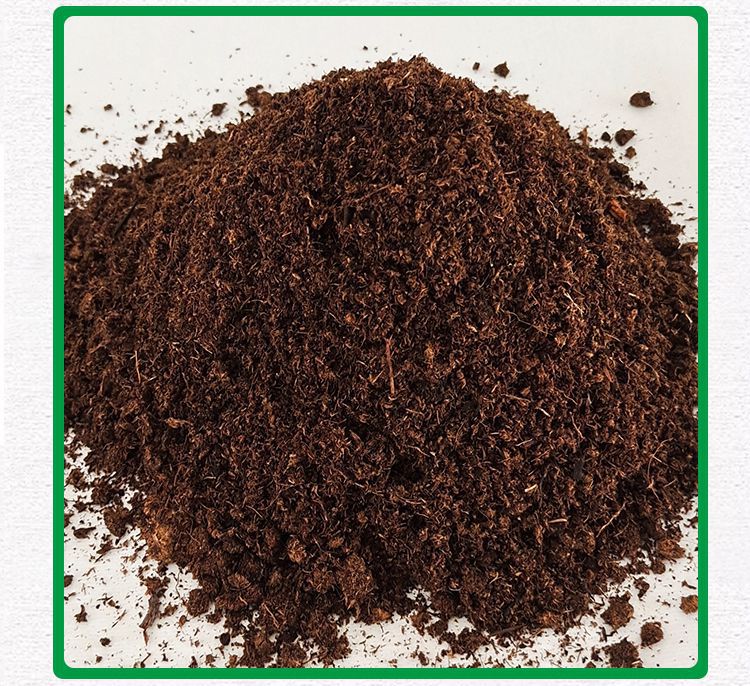 纯泥炭丹麦品氏泥炭土分装有机种花土营养土多肉土花卉育苗土 小苗