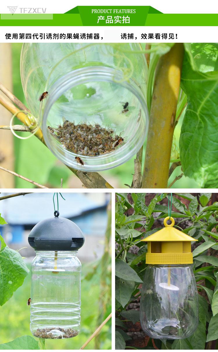 tf【现货闪发】果蝇诱捕器果蝇性引诱剂诱捕剂第三代药水果蝇水实蝇针
