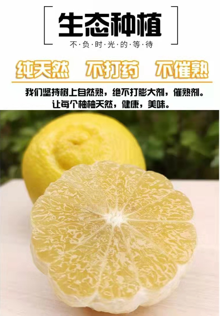 怀化洪江黄金贡柚象山青新鲜水果湖南小柚子5斤5斤大果7585mm