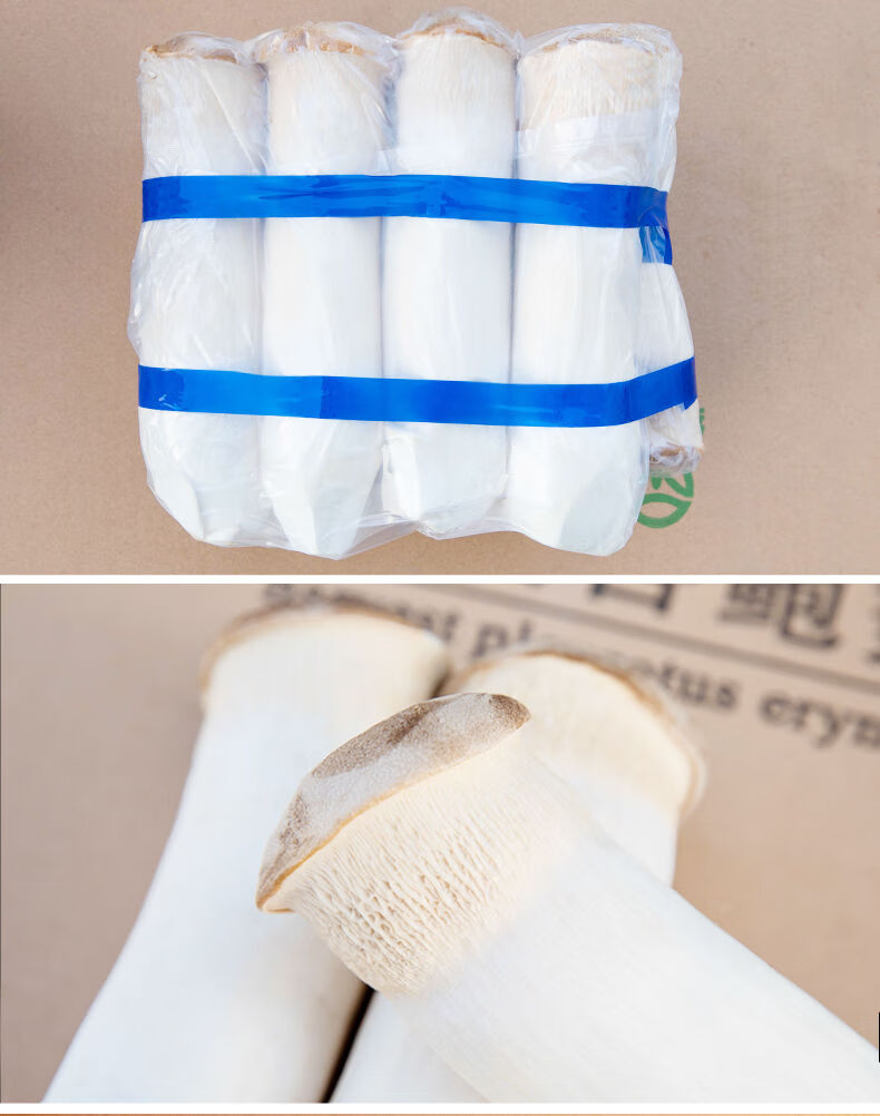 春光岛现摘235杏鲍菇新鲜鸡腿菇火锅料理蘑菇蔬菜菌菇批发5斤精品装1