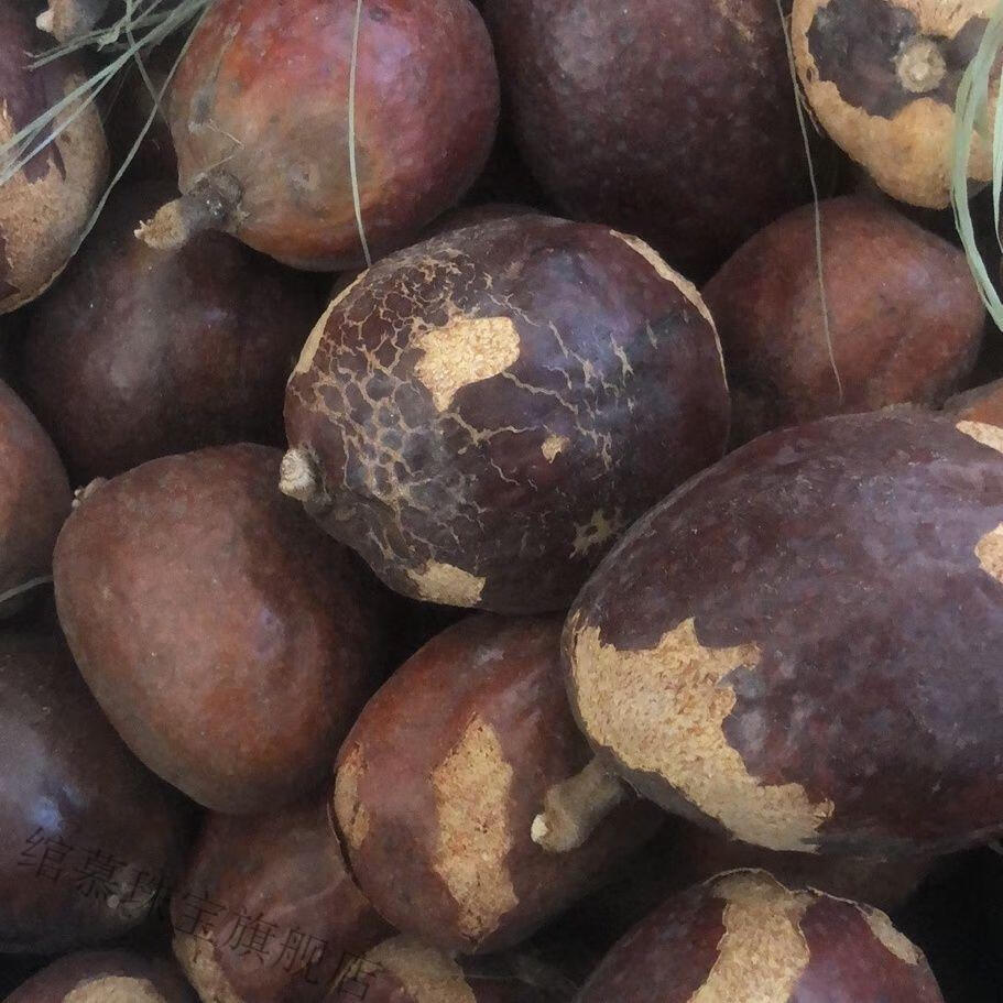 绾慕 佛心果超大菩提原籽原料吊坠风化焦糖色鸿运当头金包玉血菩提果