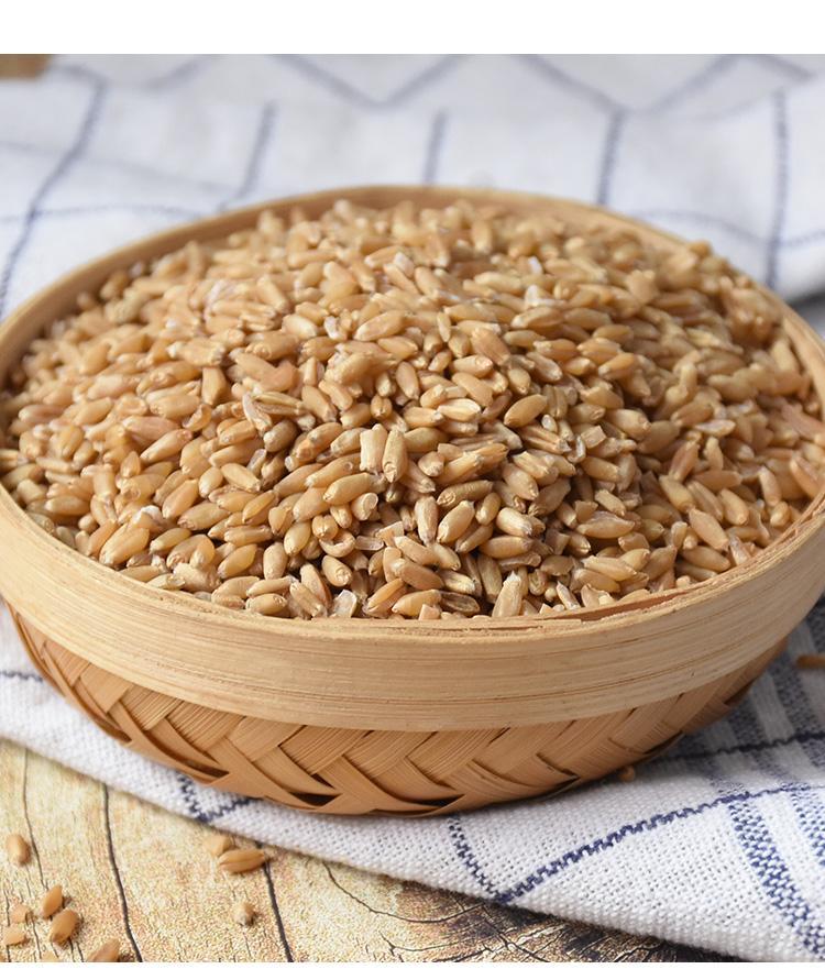 淮小麦500克甘麦大枣汤原料怀小麦九九和仁 淮小麦