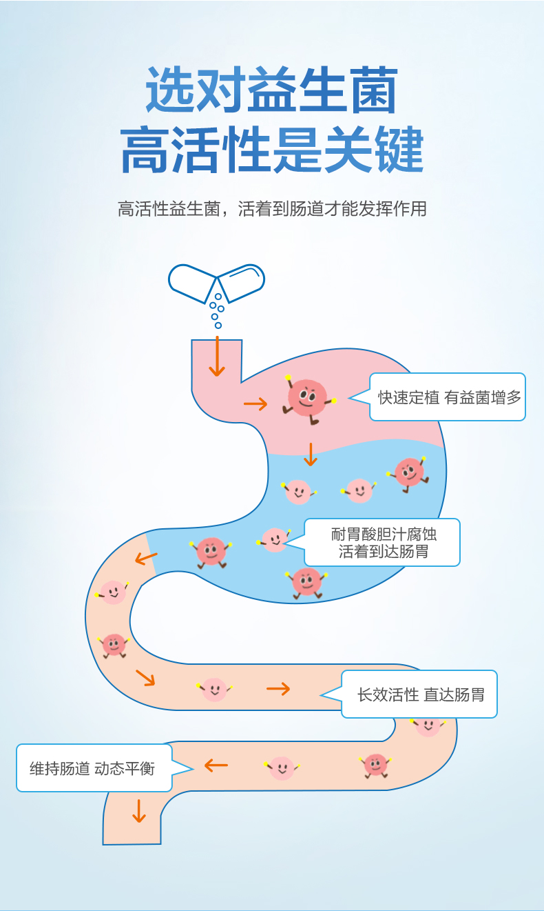 【包税】life space成人广谱益生菌消化酶 澳洲进口 成人消化酶60粒