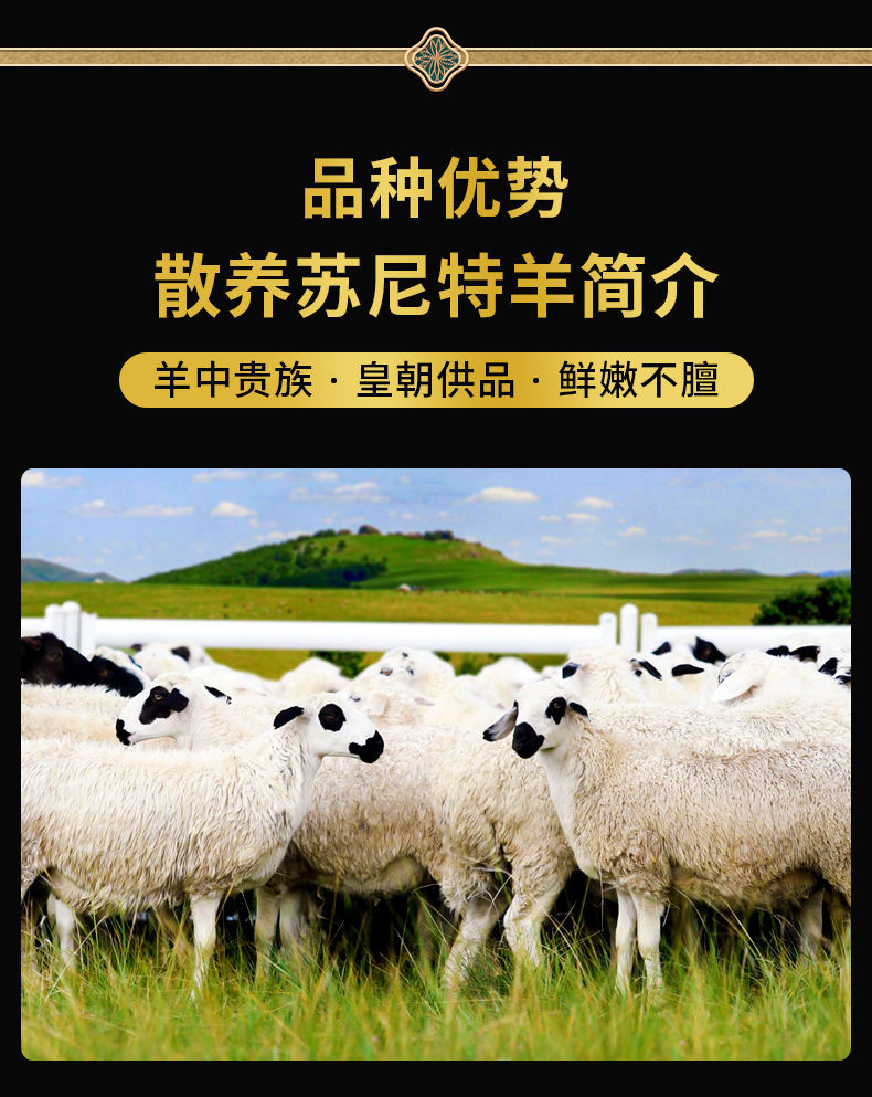 内蒙古手把肉白条切块草原苏尼特羔羊清真羊肉手扒肉现杀羊排羊腿羔羊
