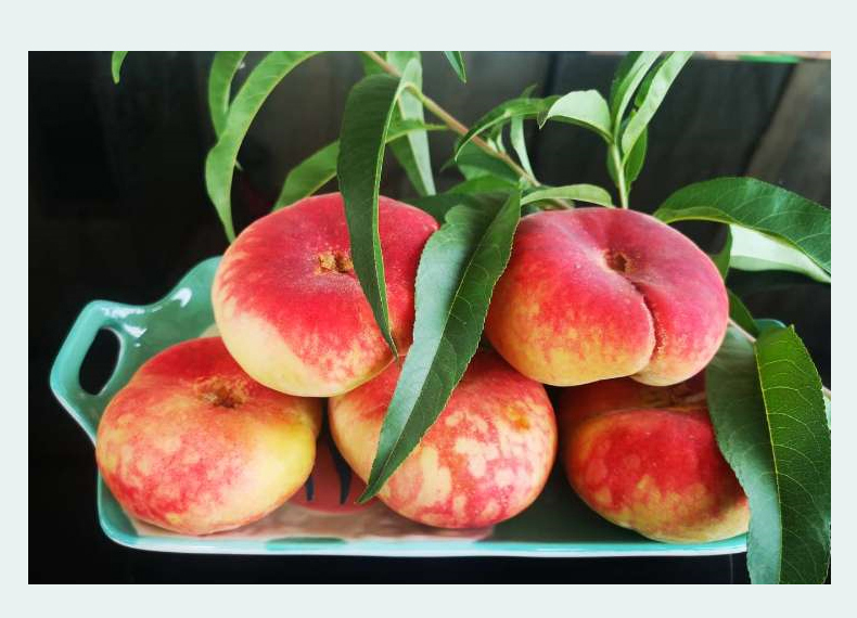 新疆蟠桃水果新鲜当季孕妇甜毛扁桃子现摘水蜜毛桃10斤新疆蟠桃现摘净