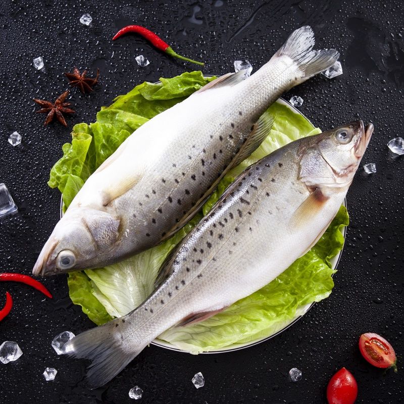 冷藏送达海鲈鱼冰冻生鲜鱼类冷冻海鱼海卢鱼整条七星鲈鱼鲜活新鲜卢鱼