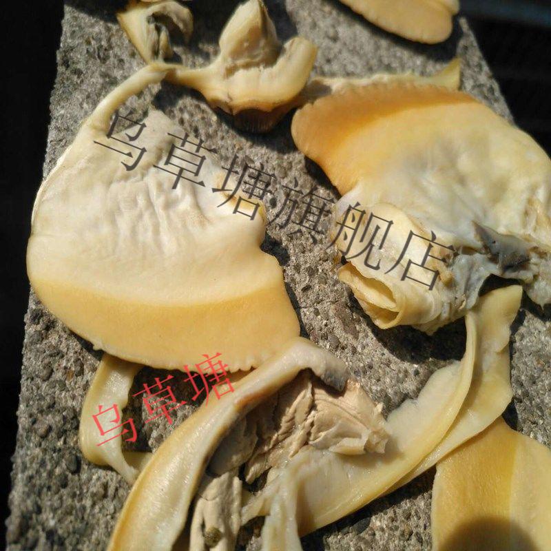 新鲜农家晒干河蚌肉干湖南邵阳土特产干贝壳肉河干货250g250克河蚌肉