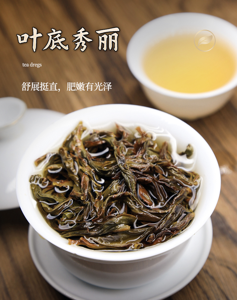 5折 鸭屎香单枞茶高山乌岽春茶潮州大乌叶新茶乌龙茶500g【图片 价格