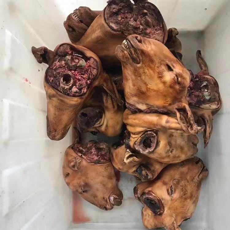 新鲜生羊头整个火烧羊头带耳带羊眼羊头火锅食材美食 带皮鲜羊头七斤