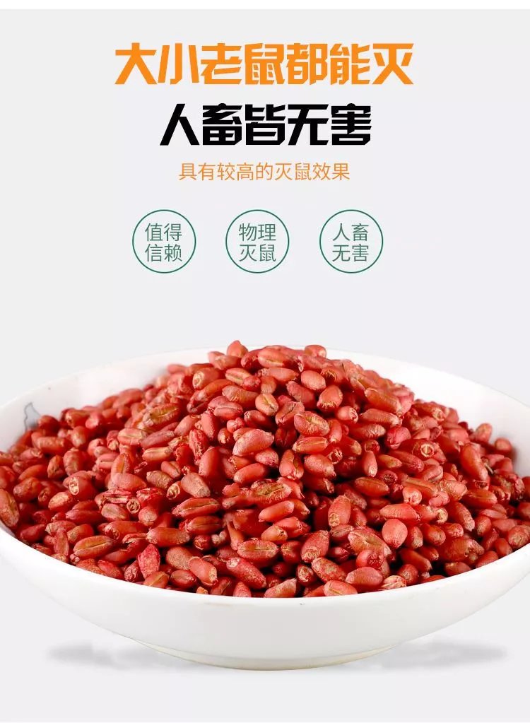 老鼠药耗子药灭鼠麦子颗粒家用强力高效药克星神器一窝端 【烈性麦粒