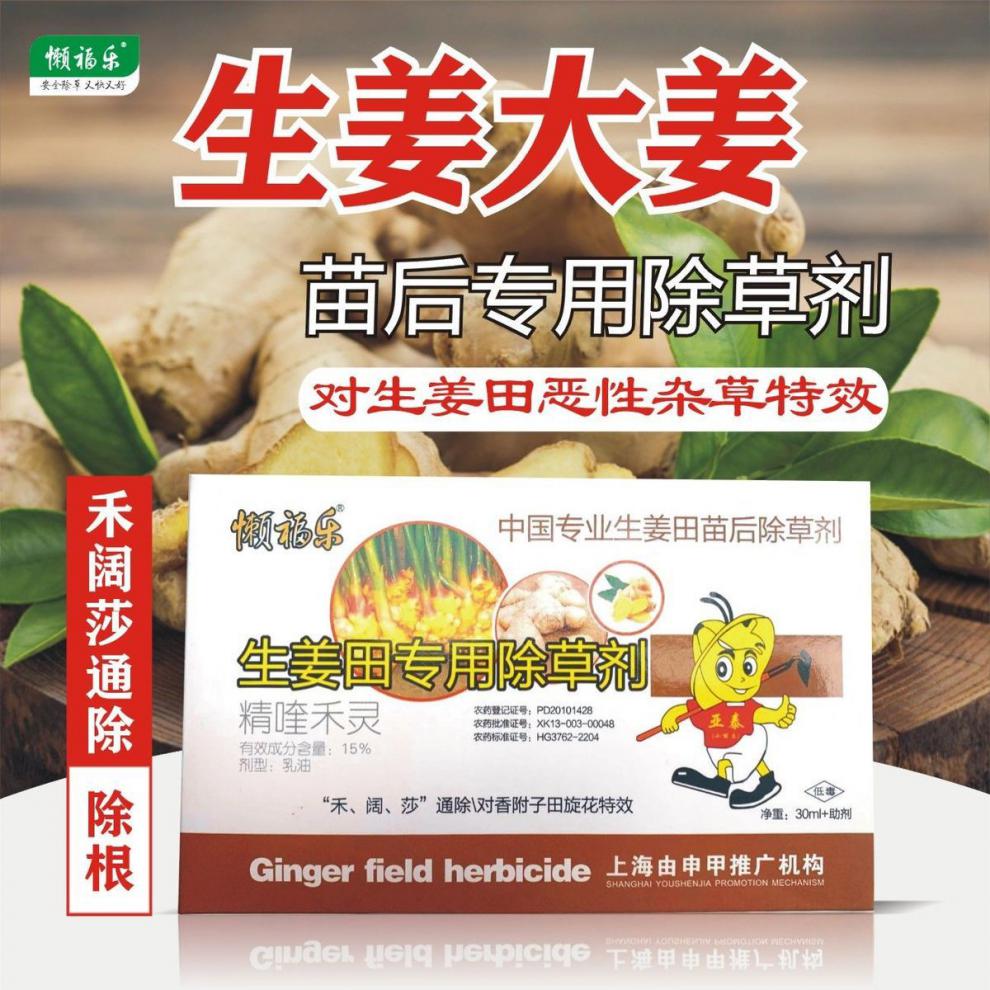 生姜除草剂生姜田苗后专用除草剂大姜除草剂和阔莎通除安全不伤苗 五