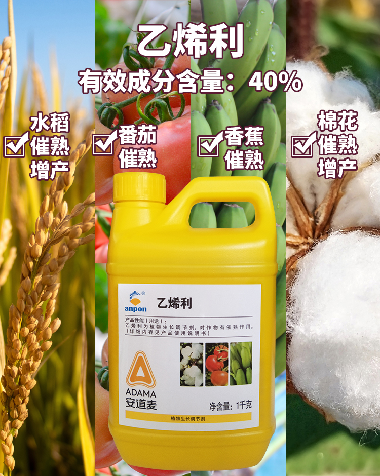 江苏安邦40乙烯利香蕉催熟棉花橡胶增产核桃脱皮生长调节剂900ml