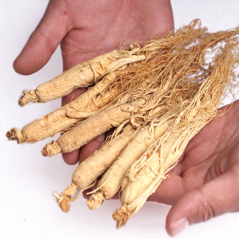 人参六年参五支装林下参生晒参白参整支泡酒药材长白山人参娇蔲康25g