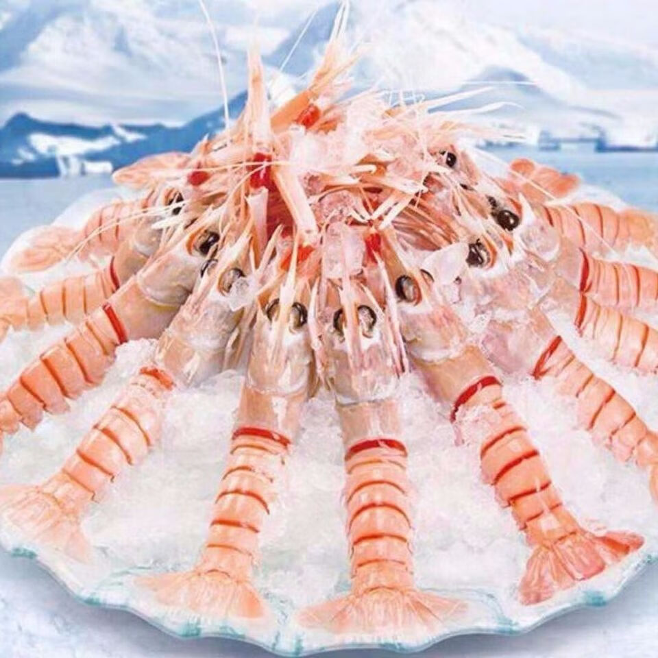 新鲜海鳌虾刺身深海小龙虾铁甲虾 海捕鳌虾海鲜 一斤20只左右 3盒装