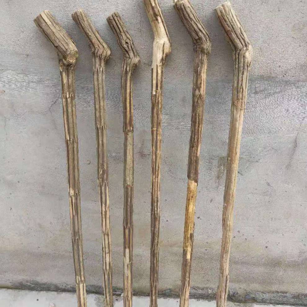 六道木手杖 五台山六道木降龙木原生态木棍拐杖料,雕刻料武术棍 粗2点