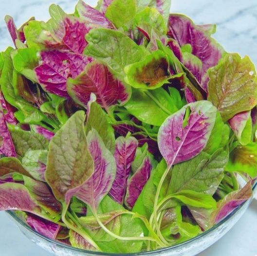 红苋菜新鲜蔬菜苏北农家自种红旱菜露天蔬菜现摘带根汉菜红米苋1斤装