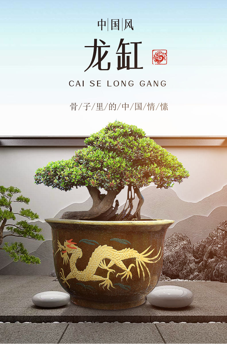 2022新 款 可狄(kedi)陶瓷花盆超大特大号龙缸庭院种树盆景铁树发财树