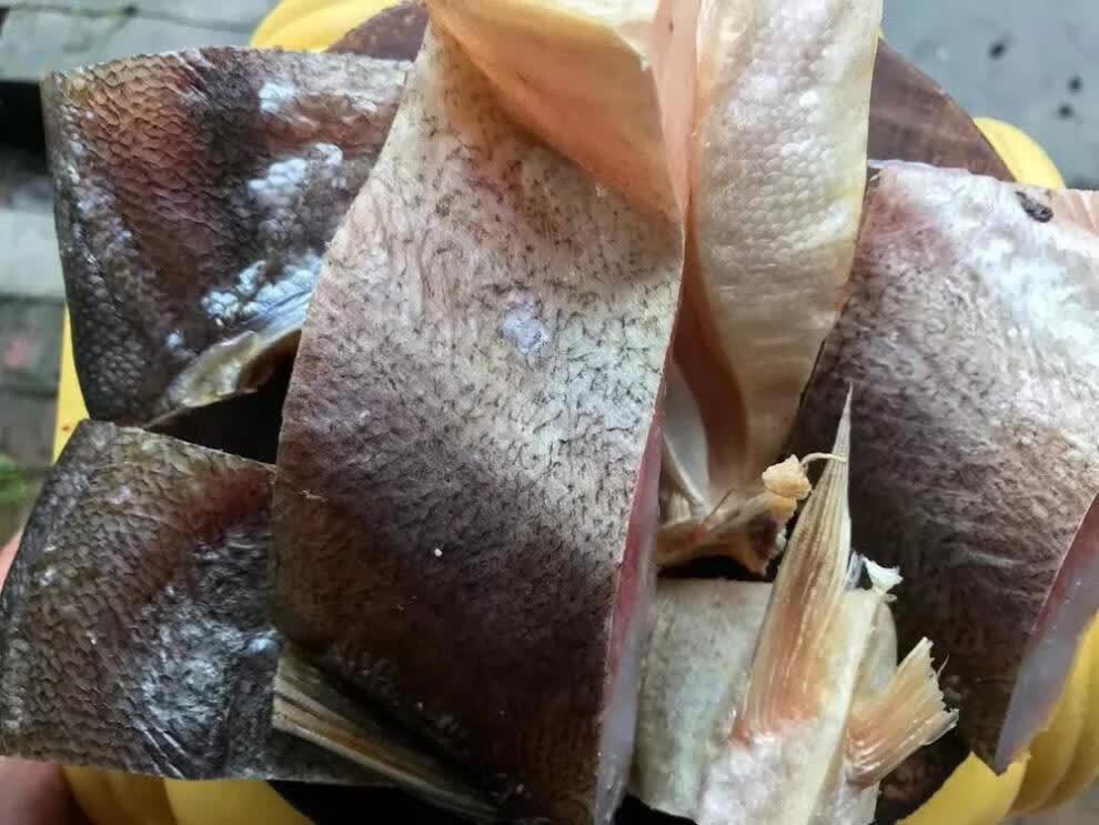 2斤农家腊鱼风干鱼草鱼干咸鱼干淡水鱼干阳干鱼湖北特产100克 草鱼块