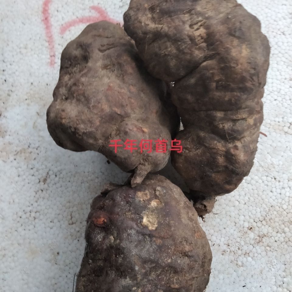 千年何首乌生首乌 统货500g【图片 价格 品牌 报价】-京东