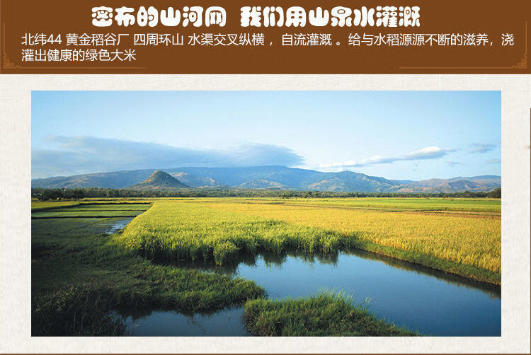 东北大米5斤批发黑龙江松花江原产地珍珠米圆粒米新米2.