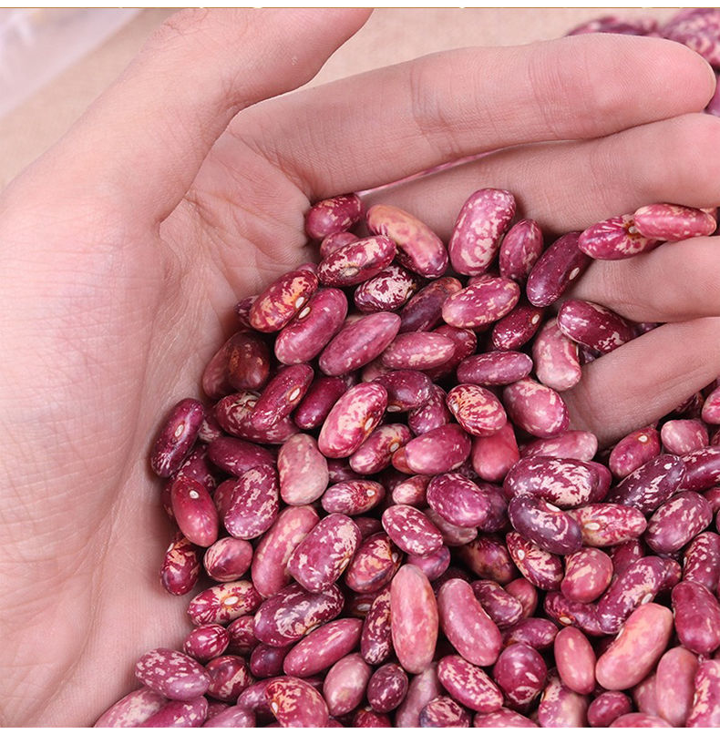 芸豆5斤贵州花芸豆红饭豆腰豆紫花芸豆花红豆四季豆 花豆5斤【图片